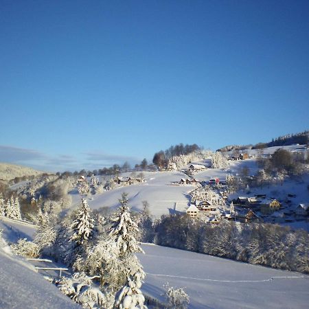 Cozy Apartment In Ore Mountains With Balcony بريتينبرون المظهر الخارجي الصورة