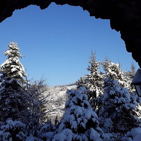 Cozy Apartment In Ore Mountains With Balcony بريتينبرون المظهر الخارجي الصورة