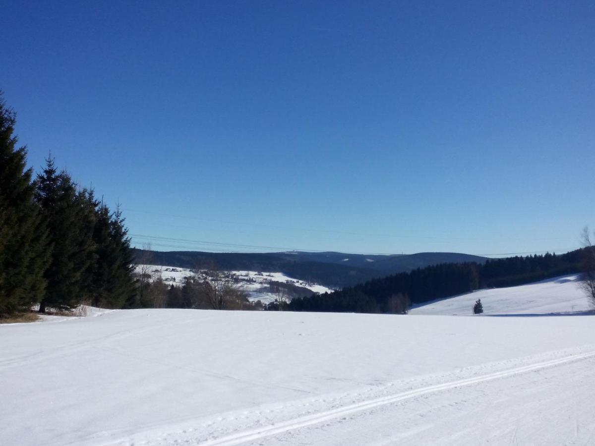Cozy Apartment In Ore Mountains With Balcony بريتينبرون الغرفة الصورة