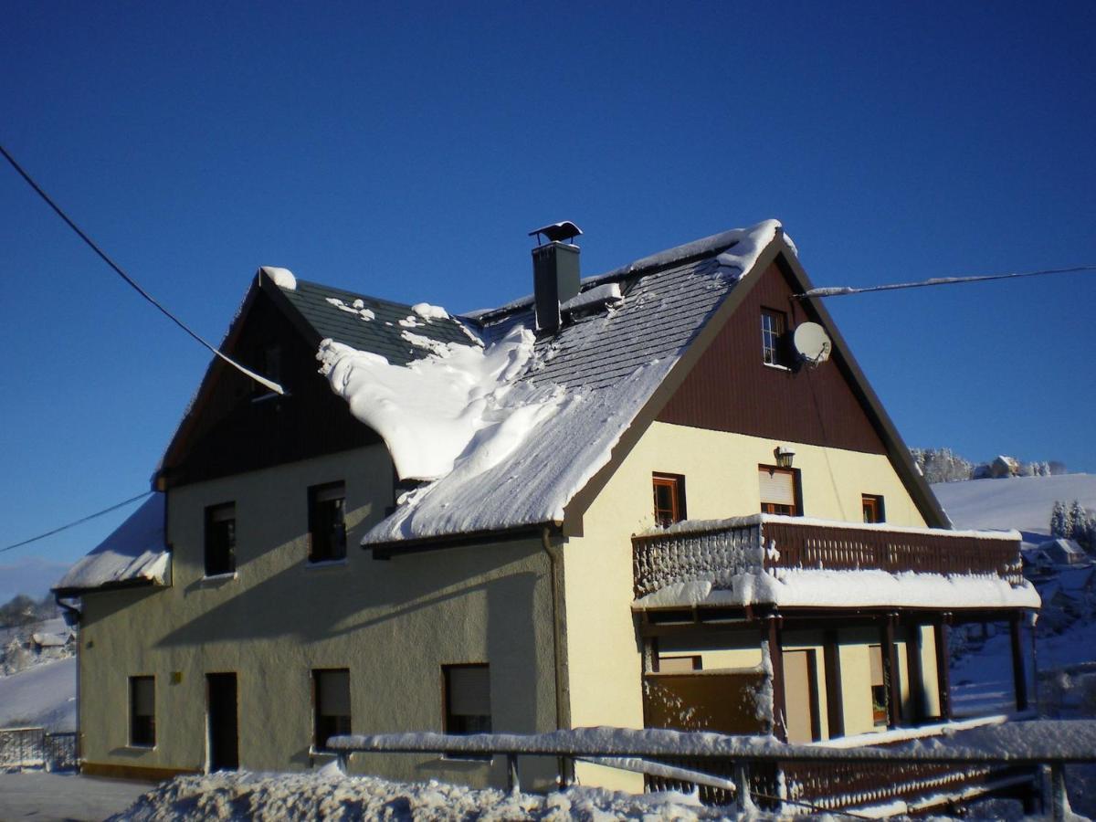 Cozy Apartment In Ore Mountains With Balcony بريتينبرون المظهر الخارجي الصورة