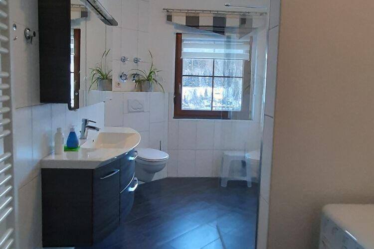 Cozy Apartment In Ore Mountains With Balcony بريتينبرون المظهر الخارجي الصورة