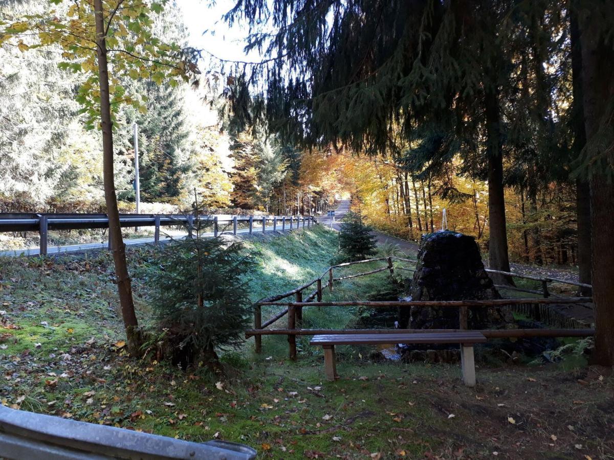 Cozy Apartment In Ore Mountains With Balcony بريتينبرون المظهر الخارجي الصورة
