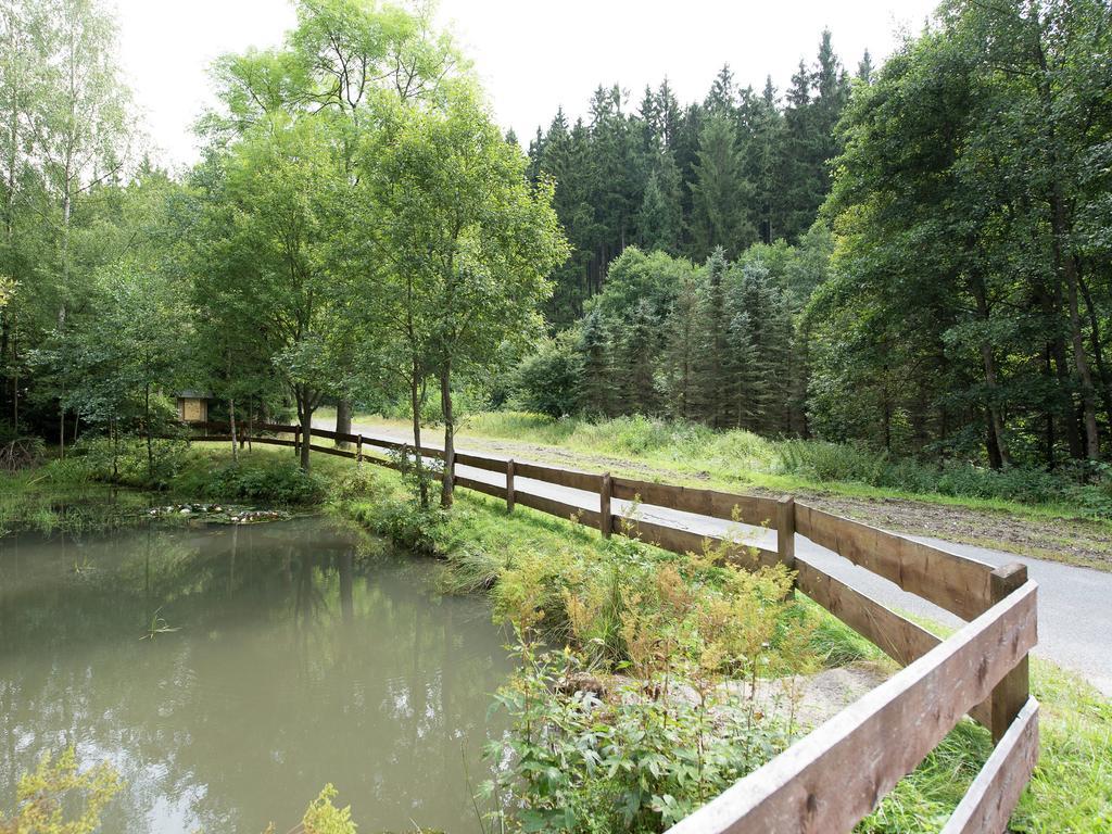 Cozy Apartment In Ore Mountains With Balcony بريتينبرون المظهر الخارجي الصورة